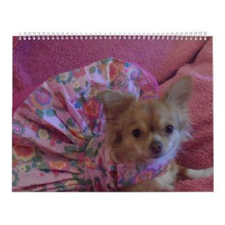 Mural Calendrier fabuleux du chiwawa 2013