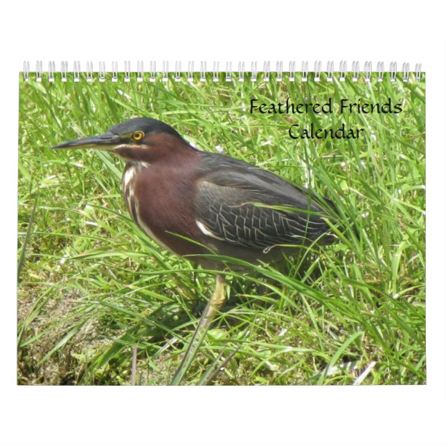 Mural Calendrier Feathered Friends 2013 - Encore Edition (Protection)