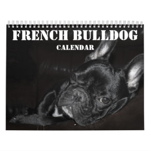 Mural Calendrier Français Bulldog 2026 Avec Photos