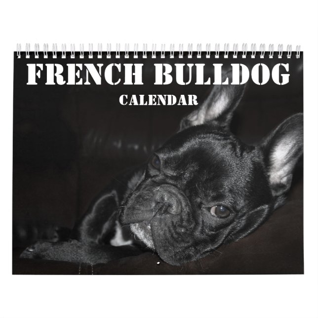 Mural Calendrier Français Bulldog 2026 Avec Photos (Protection)