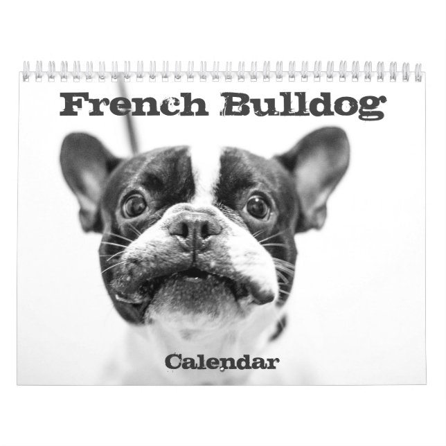 Mural Calendrier Français Bulldog 2026 Noir Et Blanc (Protection)