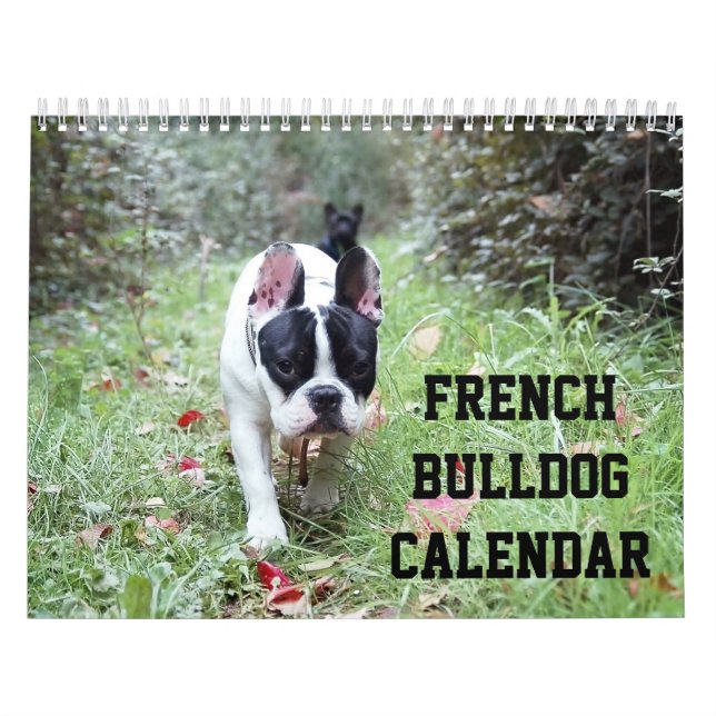 Mural Calendrier Français Bulldog Avec Vos Photos (Protection)