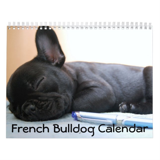 Mural Calendrier Français des photos de Bulldog 2026 (Protection)