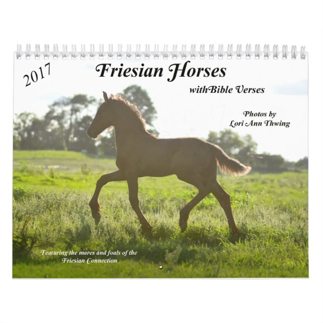 Mural Calendrier frison de cheval avec des vers de bible (Protection)