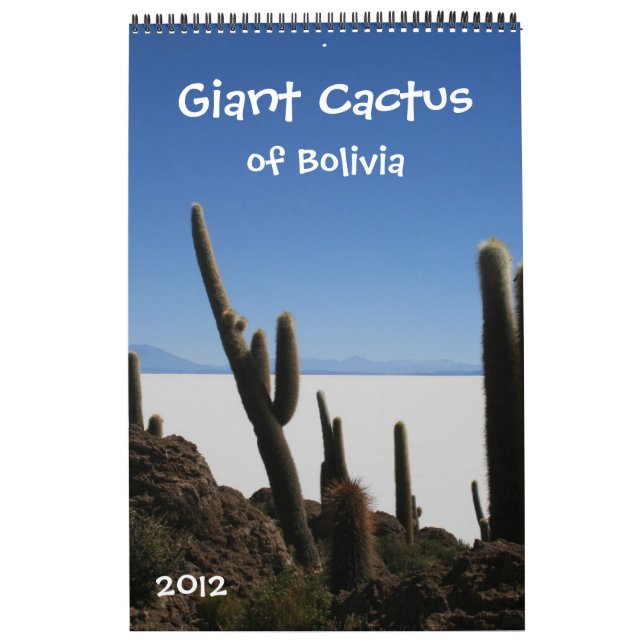 Mural calendrier géant 2012 de cactus (Protection)