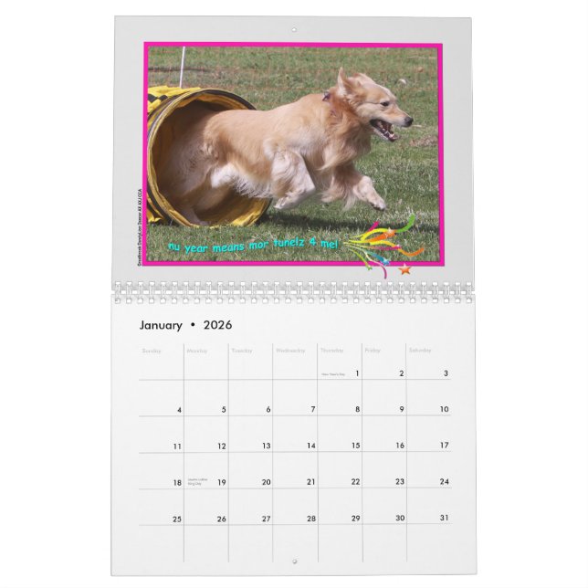 Mural Calendrier Golden Retriever 2015 (Jan 2026)