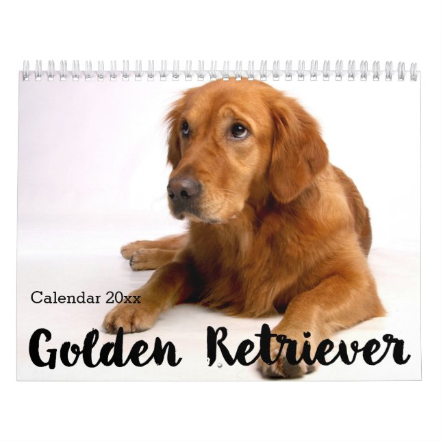 Mural Calendrier Golden Retriever 2026 (Protection)