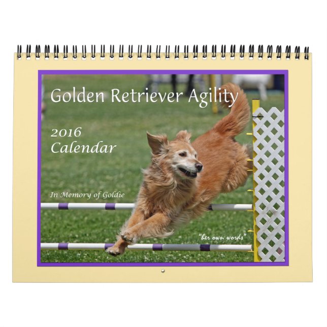 Mural Calendrier Golden Retriever Agilité (Protection)