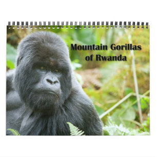 Mural Calendrier - gorilles de montagne du Rwanda