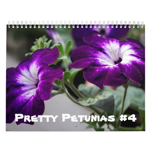 Mural Calendrier - Jolies Petunias #4 (Protection)