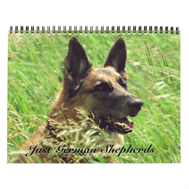 Mural Calendrier magnifique de berger allemand (Protection)