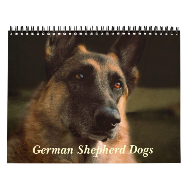 Mural Calendrier magnifique de chien de berger allemand (Protection)