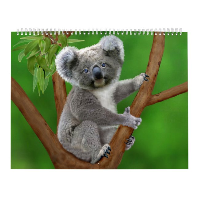Mural Calendrier mensuel de la nature le plus mignon (Protection)