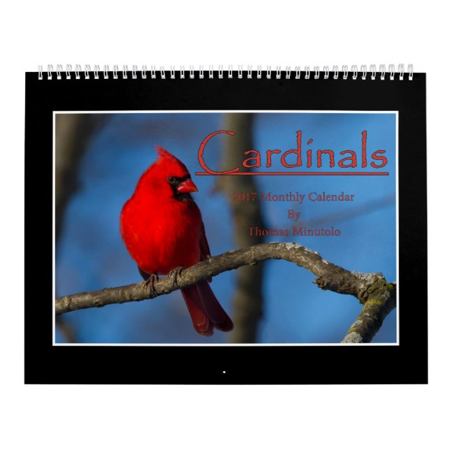Mural Calendrier mensuel des cardinaux 2017 par Thomas (Protection)