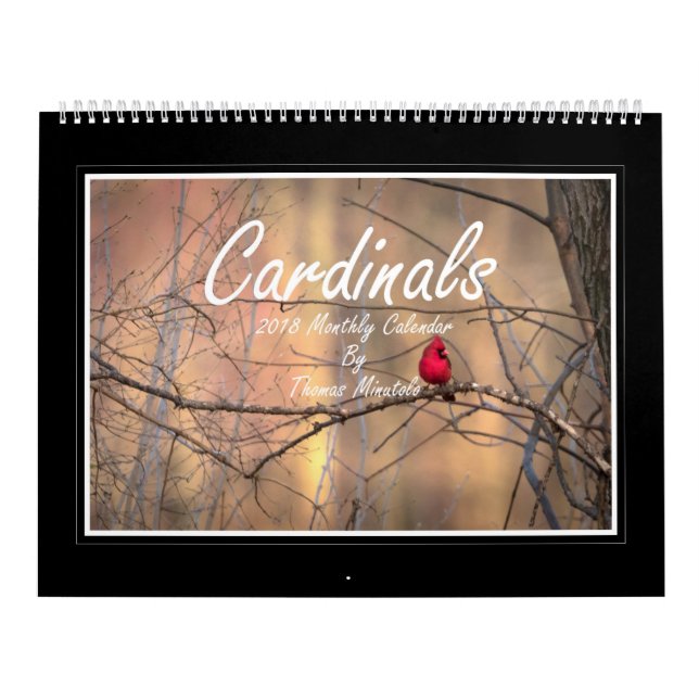 Mural Calendrier mensuel des cardinaux 2018 par Thomas (Protection)