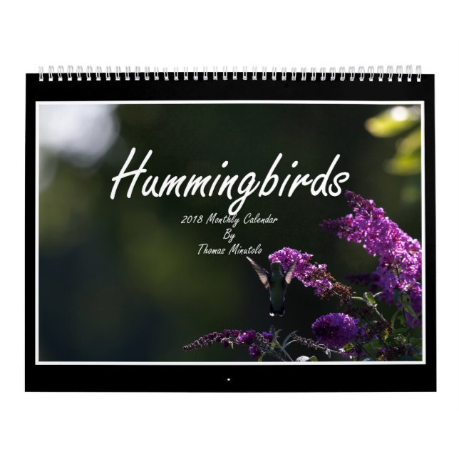 Mural Calendrier mensuel des colibris 2018 par Tom (Protection)