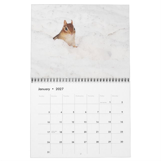 Mural Calendrier mignon fou des tamia 2015 (Jan 2027)