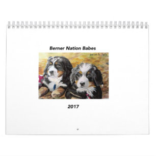 Mural Calendrier moyen des bébés 2017 de nation de