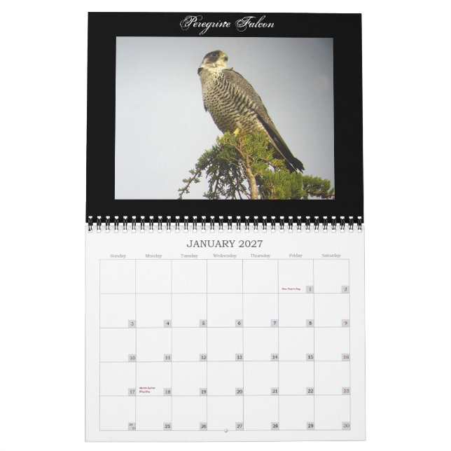 Mural Calendrier nord-américain d'oiseaux (Jan 2027)
