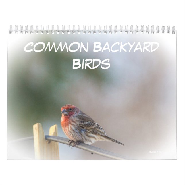 Mural Calendrier - Oiseaux communs de Jardin (Protection)