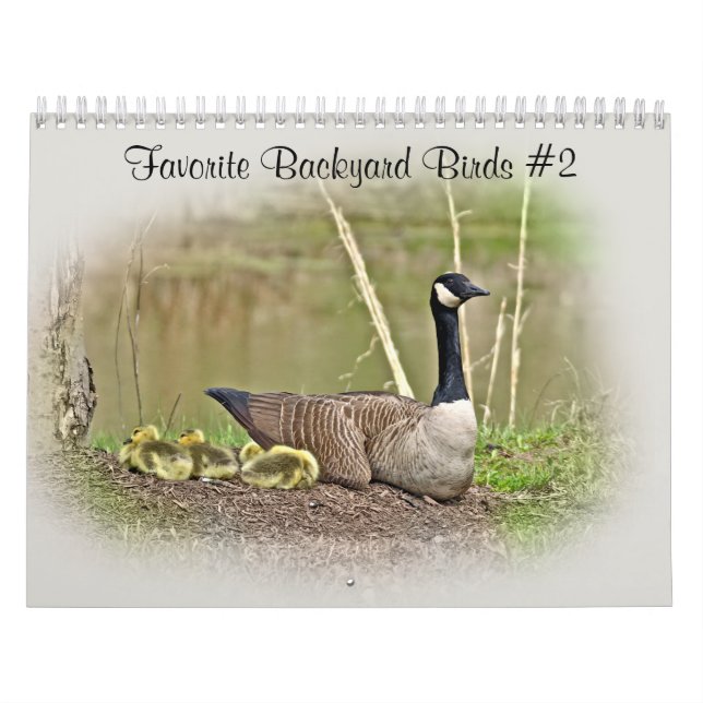 Mural Calendrier Oiseaux de Jardin favoris #2 (Protection)