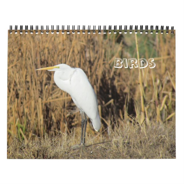 Mural Calendrier - Oiseaux pour le Nouvel An (Protection)