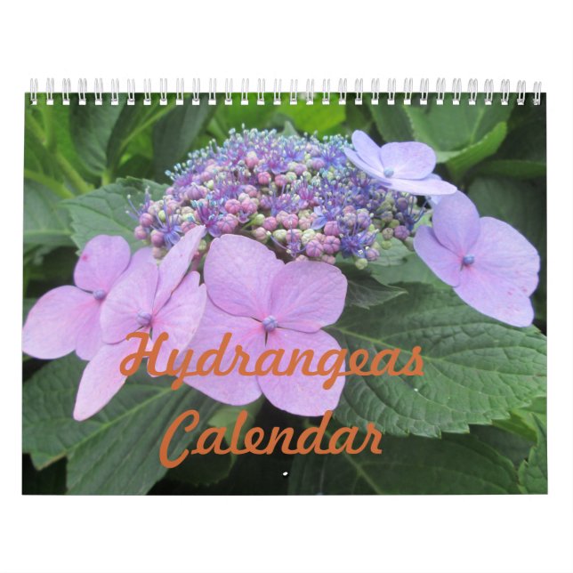 Mural Calendrier personnalisable de fleur d'hortensias (Protection)