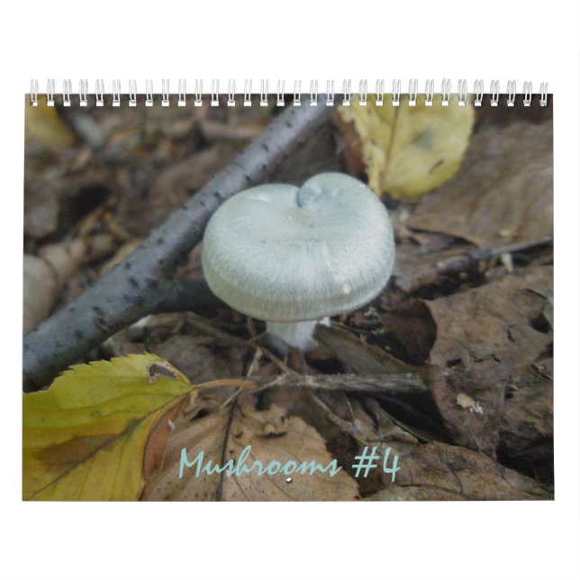 Mural Calendrier - Plus de champignons merveilleux #4 (Protection)