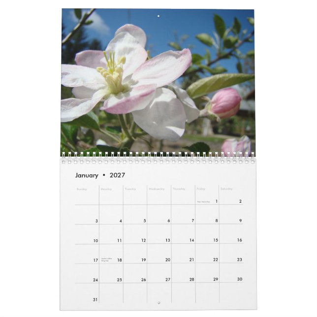 Mural CALENDRIER POMMIERS EN FLEURS Calendrier Art de Pr (Jan 2027)