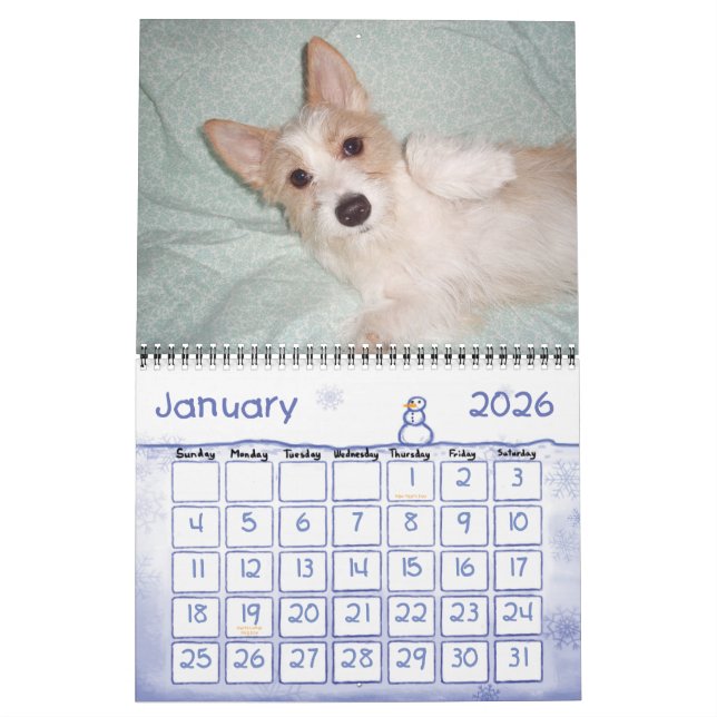 Mural Calendrier portugais Podengo Pequeno (Jan 2026)