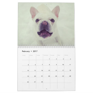 Mural Calendrier pour 2017