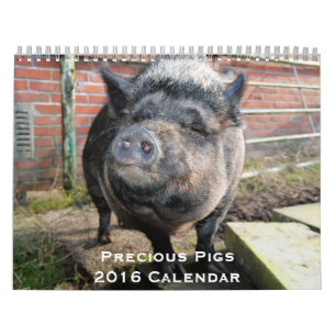 Mural Calendrier Precious Pigs 2016