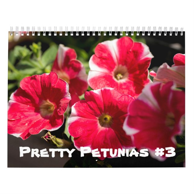 Mural Calendrier - Pretty Petunias (Protection)