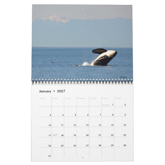 Mural Calendrier résident du sud d'épaulard 2018 (Jan 2027)