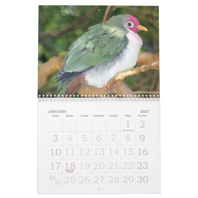 Mural Calendrier sauvage 2007 de l'oiseau de Rick (Jan 2027)