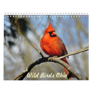 Mural Calendrier sauvage de l'Ohio d'oiseaux