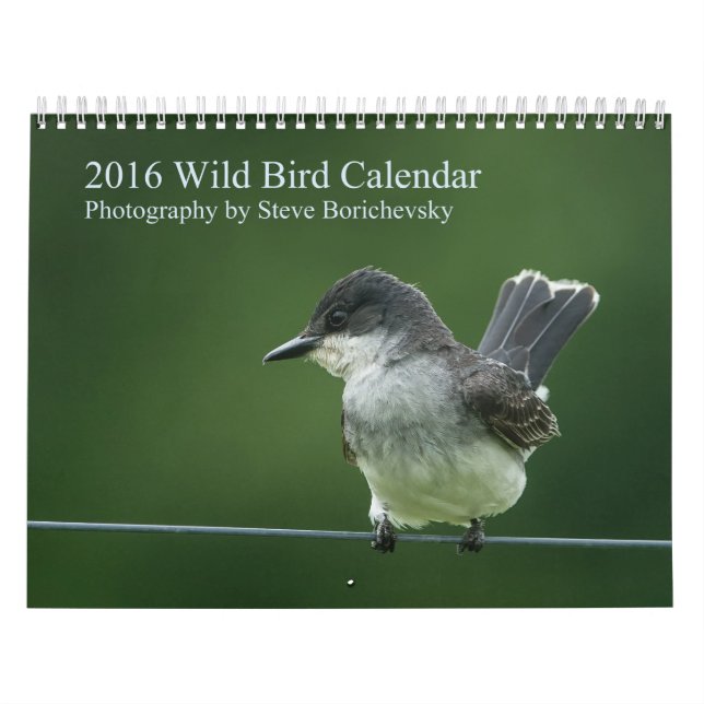 Mural Calendrier sauvage de l'oiseau 2016 (Protection)