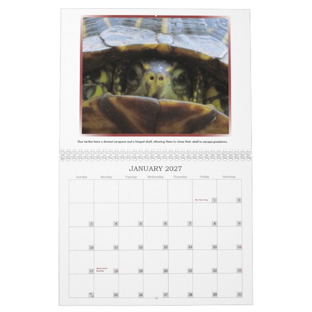 Mural Calendrier sauvage des visages 2013 (Jan 2027)