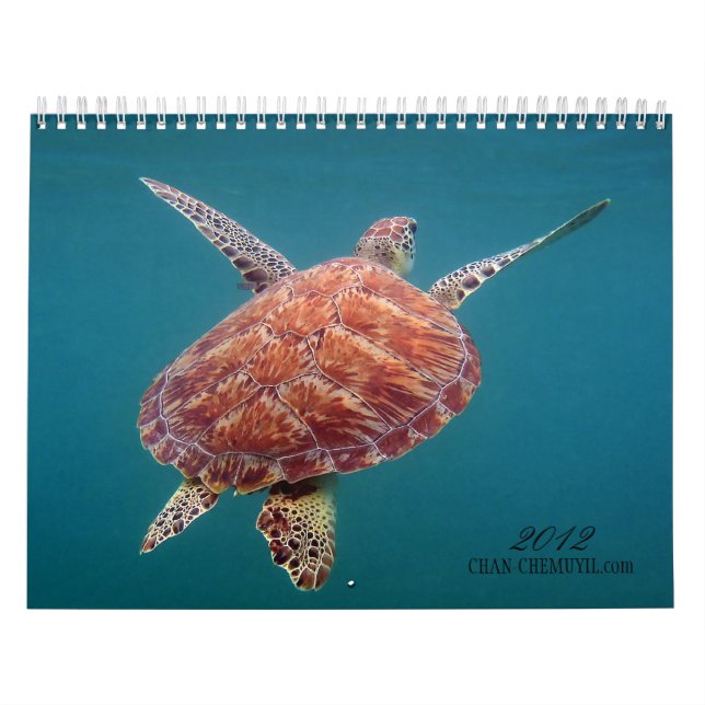 Mural Calendrier sous-marin de Chan Chemuyil (Protection)
