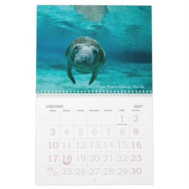 Mural Calendrier sous-marin des voyages 2014 (Jan 2027)