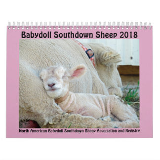 Mural Calendrier Southdown de 2018 de NABSSAR moutons de