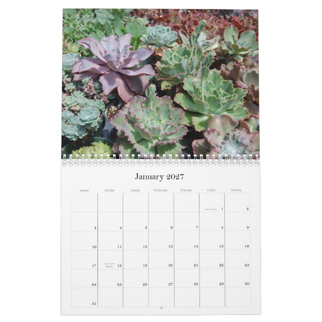 Mural Calendrier succulent (Jan 2027)