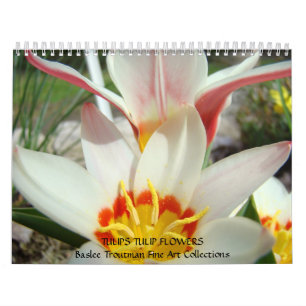 Mural CALENDRIER TULIPS Calendars Tulip Fleurs