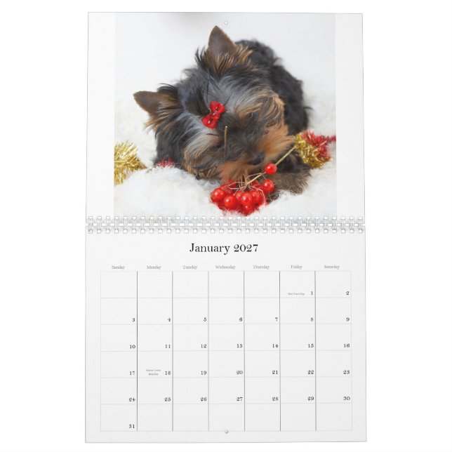 Mural Calendrier Yorkshire Terrier (Jan 2027)