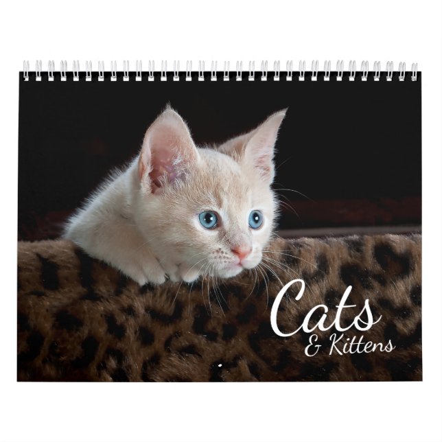 Mural Cats et chatons Calendrier photo pour animaux de c (Protection)