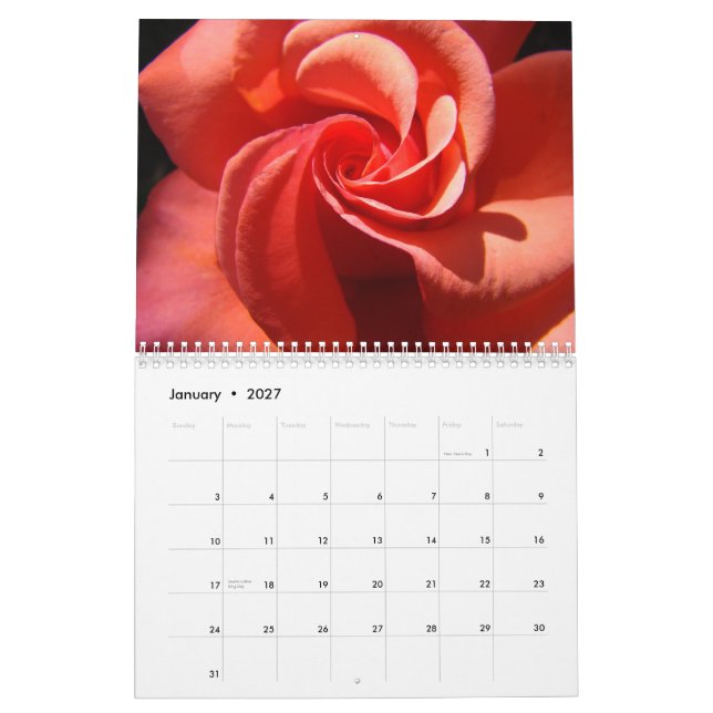 Mural Centre rose de calendrier de mes cadeaux de (Jan 2027)