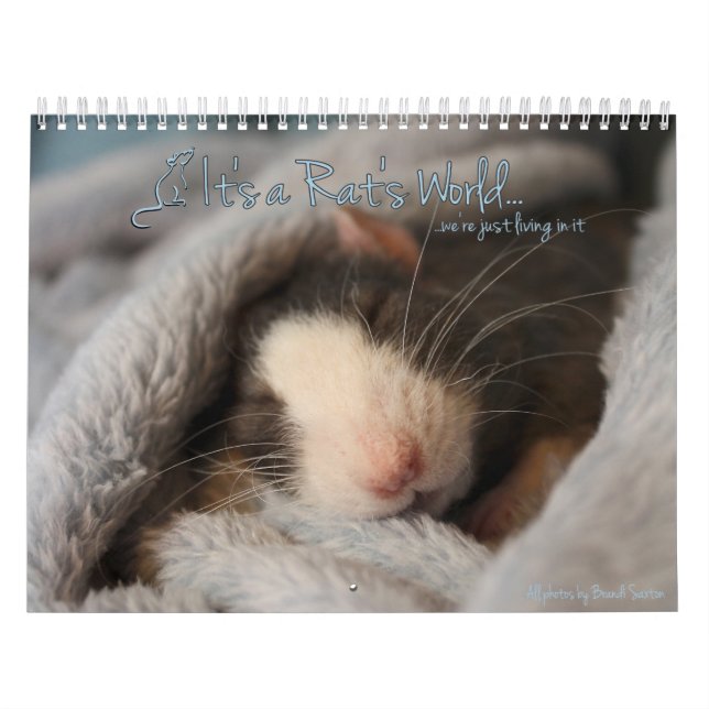 Mural C'est le calendrier du monde d'un rat (Protection)
