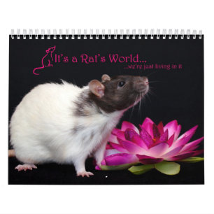 Mural C'est un calendrier 2016 du monde de rat