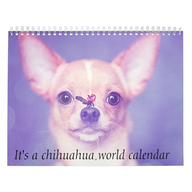 Mural C'est un calendrier mondial de Chihuahua (Protection)