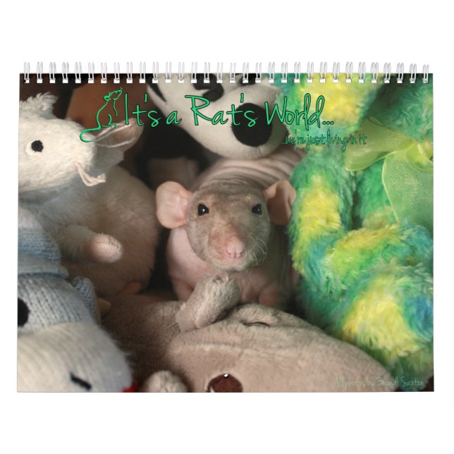 Mural C'est un calendrier mondial de Rat (Protection)